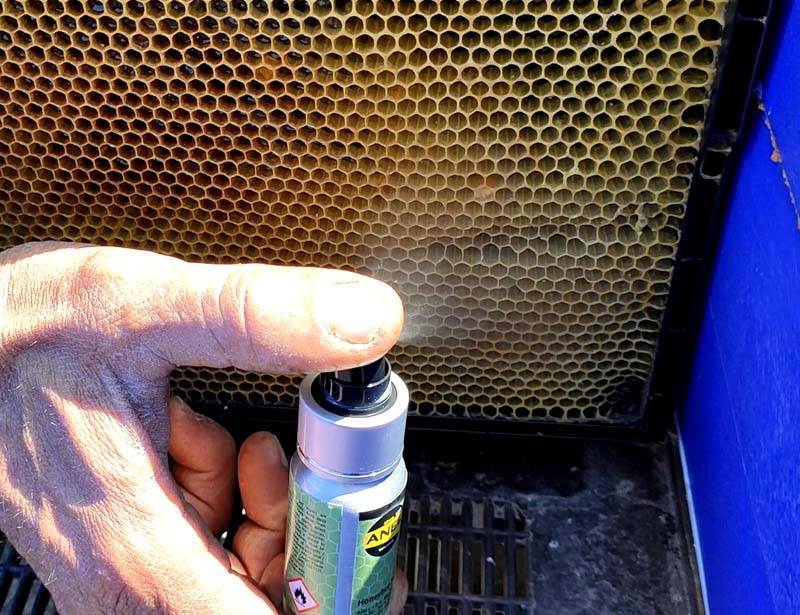 ANEL Swarm Lure Spray – Hyper-Concentrated Bee Swarm Attractant