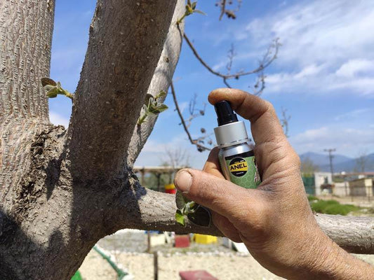 ANEL Swarm Lure Spray – Hyper-Concentrated Bee Swarm Attractant